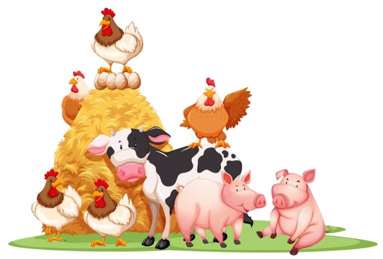 30 Cows 28 Chickens How Many Didn’t? Solving the Riddle 